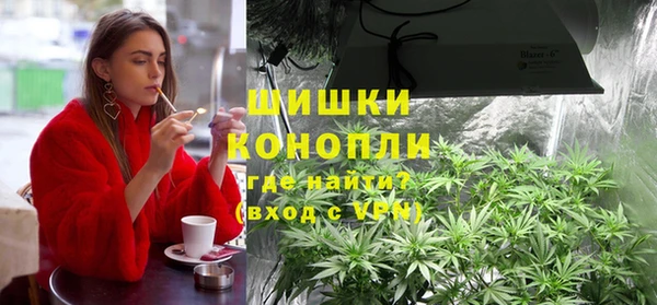 гашик Нефтекумск
