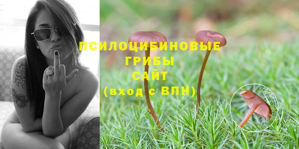 стафф Нефтегорск