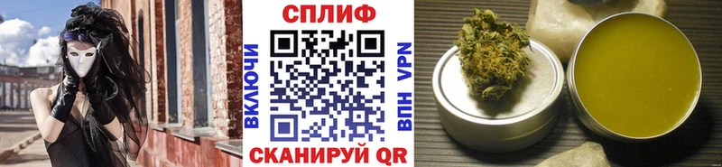 Бошки Шишки гибрид  Тбилисская 